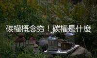 碳權概念夯！碳權是什麼？臺灣碳權交易所8月7日掛牌｜天下雜誌