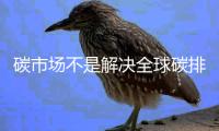 碳市場不是解決全球碳排放的妙法
