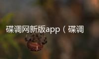 碟調(diào)網(wǎng)新版app（碟調(diào)網(wǎng)官網(wǎng)2019）