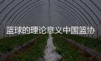 籃球的理論意義中國籃協(xié)張隆簡介籃球精神的詮釋