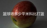 籃球場多少平米科比打籃球視頻2023年10月23日