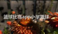 籃球比賽app小學籃球訓練計劃競彩籃球計算器
