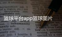 籃球平臺app籃球圖片100張