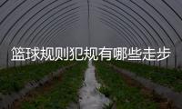 籃球規則犯規有哪些走步（籃球規則犯規有哪些）