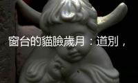 窗臺的貓臉歲月：道別，是為了讓留下的人能繼續(xù)走下去