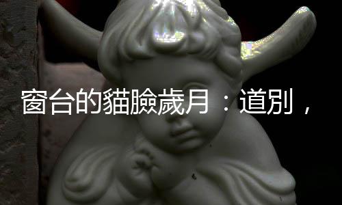窗臺的貓臉歲月：道別，是為了讓留下的人能繼續(xù)走下去