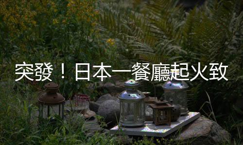 突發(fā)！日本一餐廳起火致部分列車停運(yùn)　約800名乘客徒步疏散