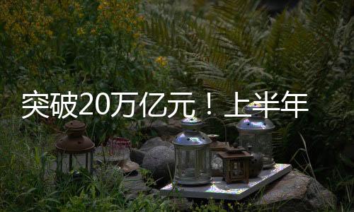 突破20萬億元！上半年我國外貿進出口總值創歷史同期新高
