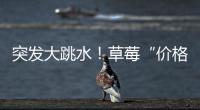 突發大跳水！草莓“價格‘腰斬’了”