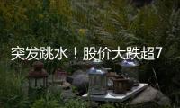 突發(fā)跳水！股價大跌超70%，發(fā)生了什么