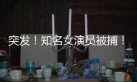 突發(fā)！知名女演員被捕！本人道歉
