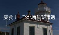 突發(fā)！一飛北京航班遭遇鳥擊返航，川航回應