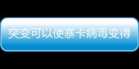 突變可以使寨卡病毒變得更加危險 并可能突破現(xiàn)有免疫力