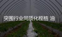 突圍行業同質化桎梏 油墨企業須做好品牌建設