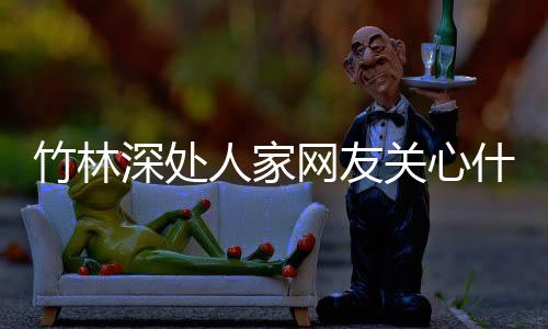 竹林深處人家網友關心什么?