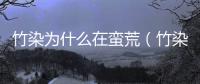 竹染為什么在蠻荒（竹染）