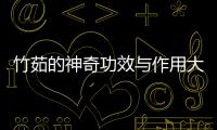 竹茹的神奇功效與作用大揭密