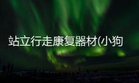 站立行走康復(fù)器材(小狗站立走路的危害)