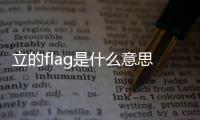 立的flag是什么意思（立flag啥意思）
