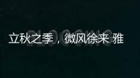立秋之季，微風徐來 雅繡之家愿所有的美好都將不期而遇