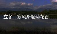 立冬：寒風漸起菊花香 候鳥翔集萬物藏