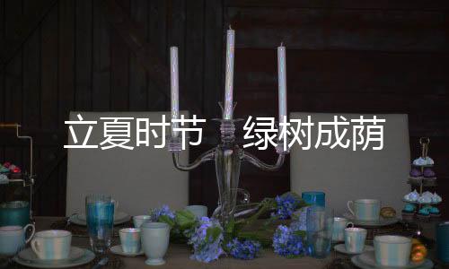 立夏時節(jié)　綠樹成蔭