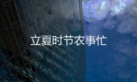 立夏時節(jié)農(nóng)事忙