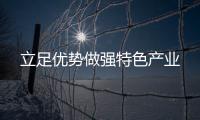 立足優勢做強特色產業