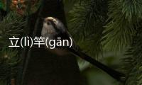 立(lì)竿(gān)見(jiàn)影(yǐng)會有什么樣影響?