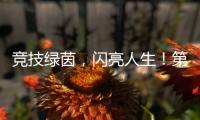 競技綠茵，閃亮人生！第九屆“奧克力杯”海絲青少年足球精英賽圓滿結(jié)束