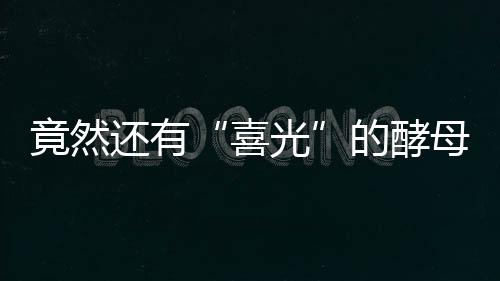 竟然還有“喜光”的酵母？新發現或將帶來新突破