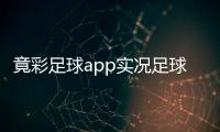 竟彩足球app實況足球網易版下載