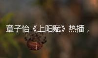 章子怡《上陽賦》熱播， 上象娛樂精準(zhǔn)布局