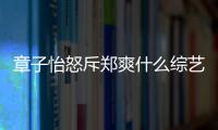 章子怡怒斥鄭爽什么綜藝節目