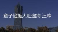 章子怡挺大肚遛狗 汪峰驅車5小時陪吃火鍋【娛樂新聞】風尚中國網