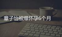 章子怡被爆懷孕6個月 全面停工安心養胎【娛樂新聞】風尚中國網
