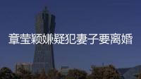 章瑩穎嫌疑犯妻子要離婚 章瑩穎的家人怎么樣了？