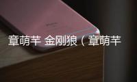 章萌芊 金剛狼（章萌芊）