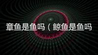 章魚是魚嗎（鯨魚是魚嗎）