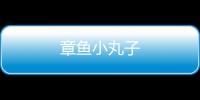 章魚小丸子
