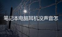 筆記本電腦耳機沒聲音怎么設置win10