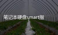 筆記本硬盤smart指標(biāo)數(shù)據(jù)異常怎么修復(fù)