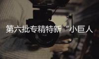 第六批專精特新“小巨人”企業培育啟動