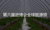 第六屆進(jìn)博會(huì)全球能源領(lǐng)域首單采購簽約 金額超403億美元