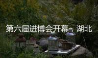 第六屆進博會開幕，湖北館內再簽5000萬元大單