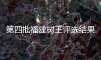 第四批福建樹王評選結果揭曉：仙游奪得“南酸棗王”
