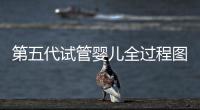 第五代試管嬰兒全過程圖片大公開，需要幾個月視情況而定