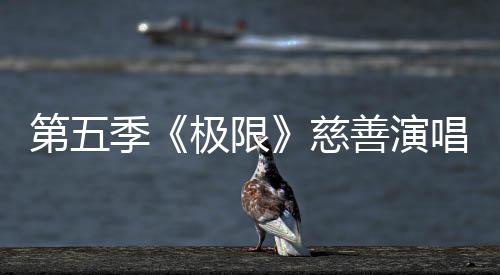 第五季《極限》慈善演唱會爭奪戰 王迅沖浪數錢機智上線