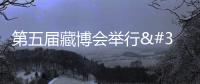 第五屆藏博會舉行 中外政要專家學者話西藏文化旅游新發展