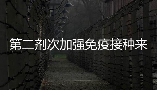 第二劑次加強免疫接種來了!當前疫苗接種須知
